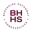 Berkshire Hathaway logo